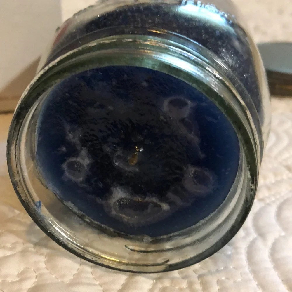 Classic Cookie‎ blueberries and cream candle, NWT